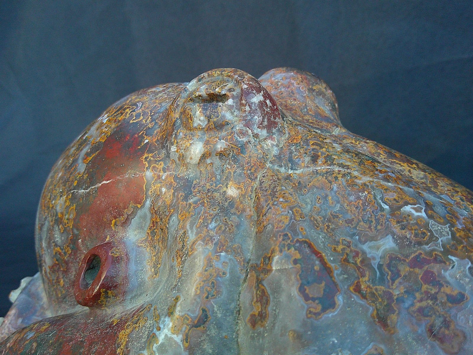 Vue rapprochée du “Kraken”, pieuvre sculptée dans une agate aux teintes rouges claires et zones translucides.