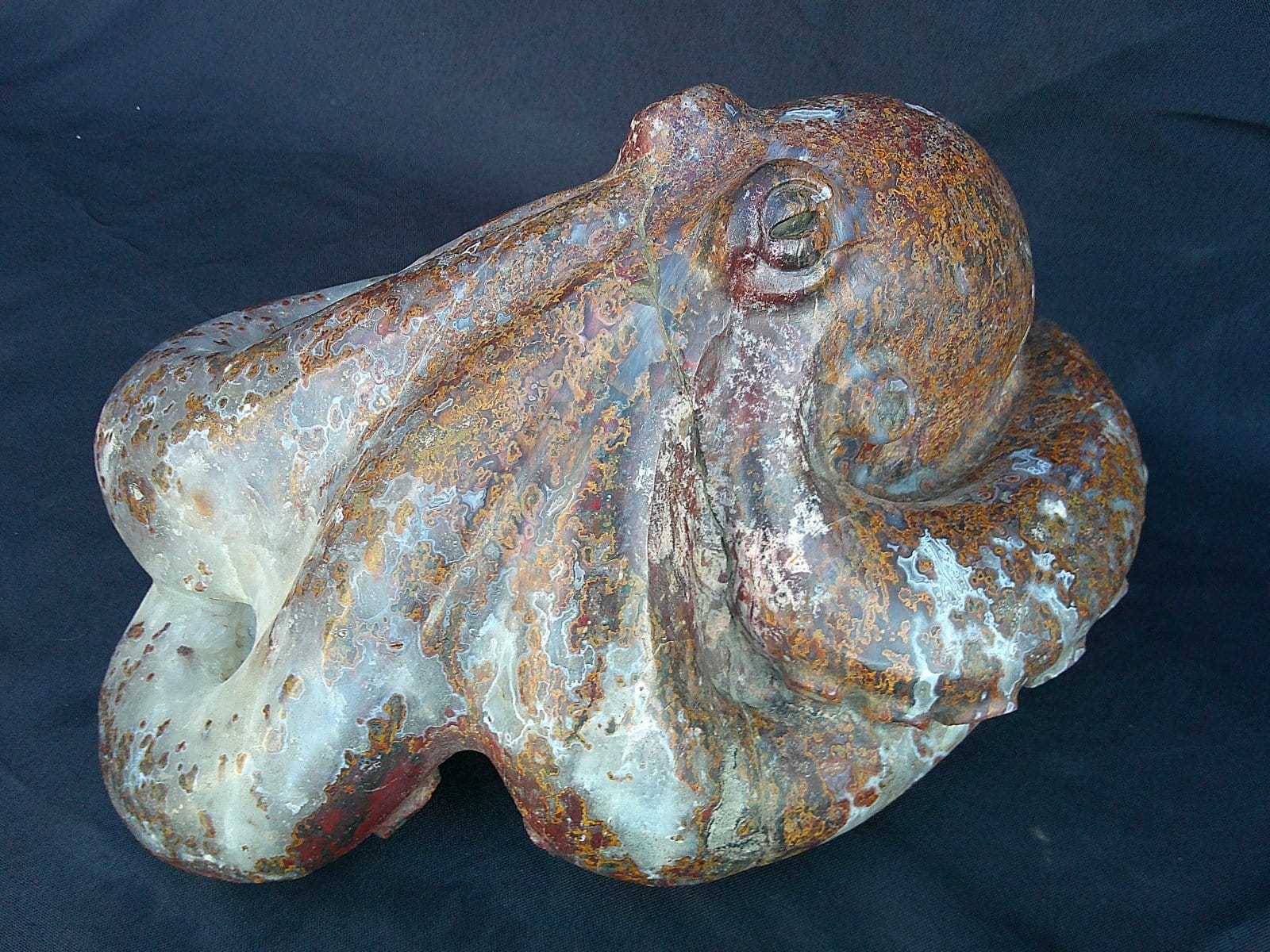 Pieuvre “Kraken” sculptée à taille réelle dans une agate du Maroc, montrant le modelé des tentacules et des ventouses.