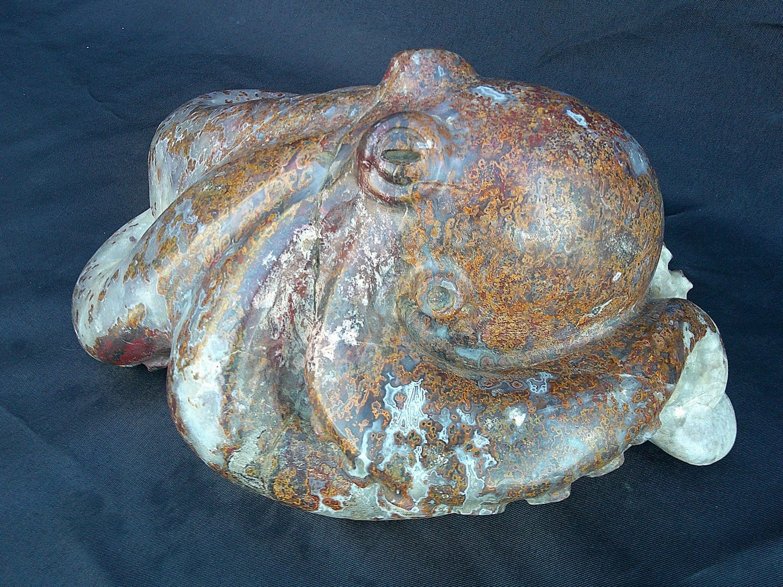 Détail du “Kraken”, pieuvre en agate translucide mettant en valeur les volumes et la texture du minéral.
