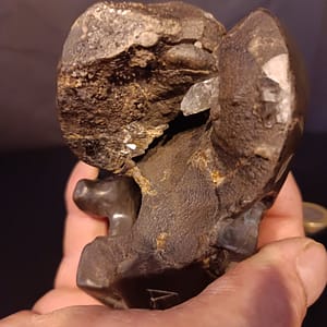 Gros plan sur les détails de la sculpture de crâne en septaria – “Le Précieux” – création artisanale Karving12.