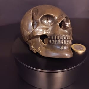 Vue de profil de la sculpture de crâne en septaria – “Le Précieux” – œuvre unique Karving12.
