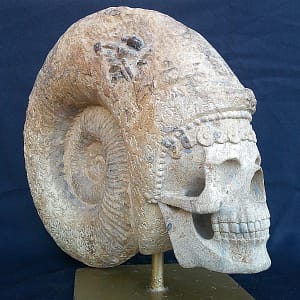Crâne artisanal “Phi” créé dans une ammonite fossile de Normandie, éclairant les détails du façonnage dans la pierre ancienne.