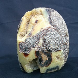 Détail du crâne “Le Guerrier” en septaria, révélant la texture naturelle du minéral et le travail précis sur l’arrière sculpté.
