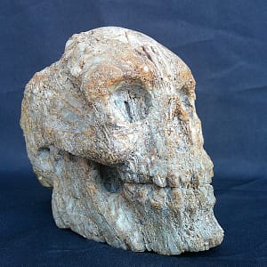 Sculpture artisanale “Homo Quartzien”, crâne façonné dans un quartz brut avec un rendu minéral proche d’une pièce fossile.