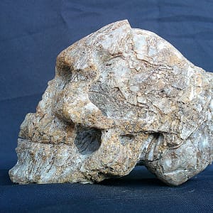 Détail de la pierre brute du “Homo Quartzien”, crâne sculpté dans un quartz du bassin Decazevillois.