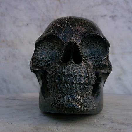 Sculpture unique de crâne en serpentine – “L’Encenseur” – création artisanale détaillée sculptée en Aveyron (France) par Karving12.