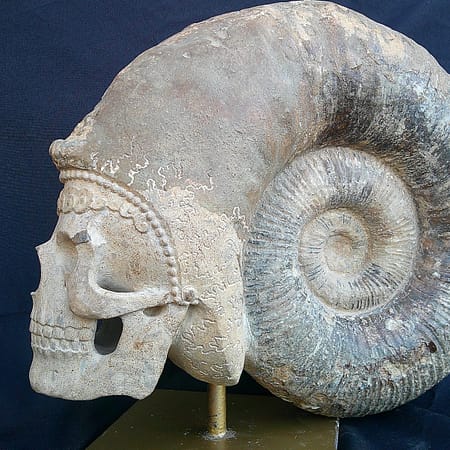 Crâne “Phi” sculpté dans une ammonite biface, avec mise en valeur des reliefs et motifs naturels du fossile.