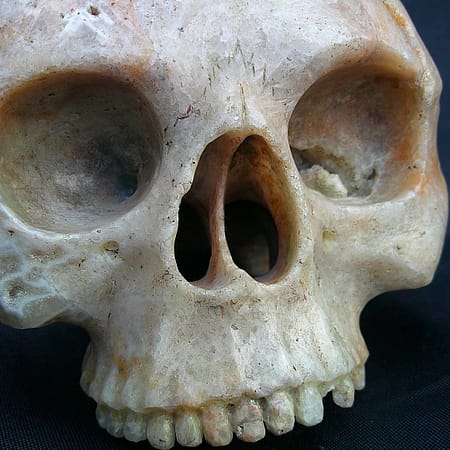 Vue détaillée du crâne “Le Caverneux”, sculpté dans une agate de l’Aveyron aux contrastes internes caractéristiques.