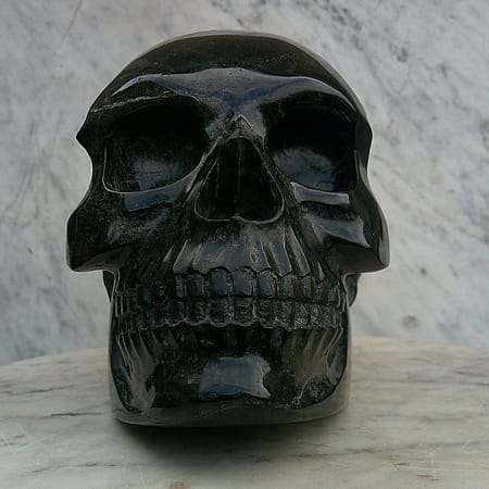 Détail de “Le Reptilien”, crâne façonné dans une serpentine du Puy du Wolf, mettant en valeur le poli hautement travaillé.